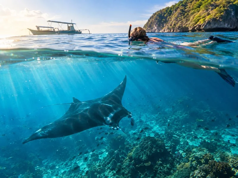 Nusa Penida: Schnorcheln mit Mantas und Kelingking-Klippe