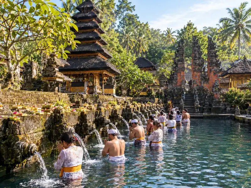 Ubud: Wasserfälle, Wassertempel & Reisterrassen